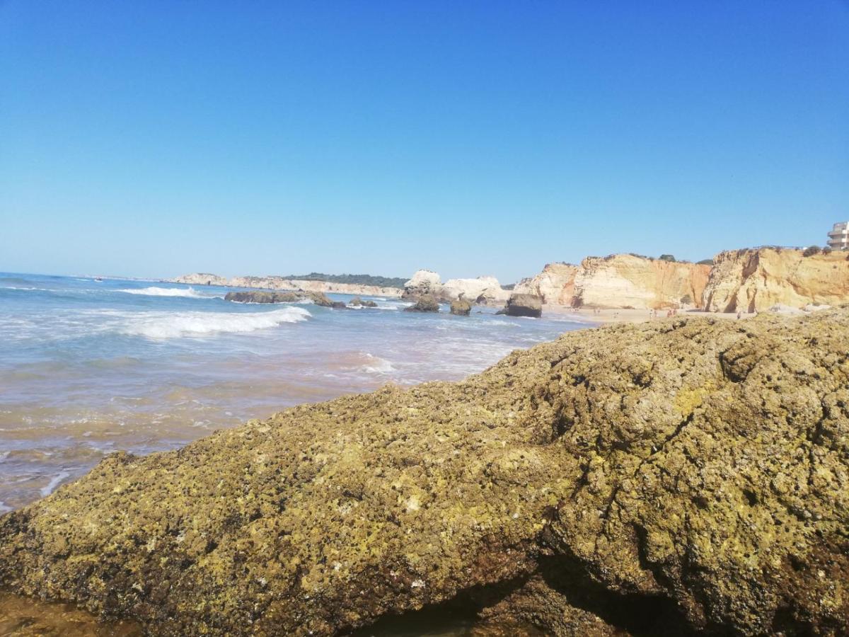 Rocha Praia Mar Beach Front Line Bay Portimão Exteriér fotografie